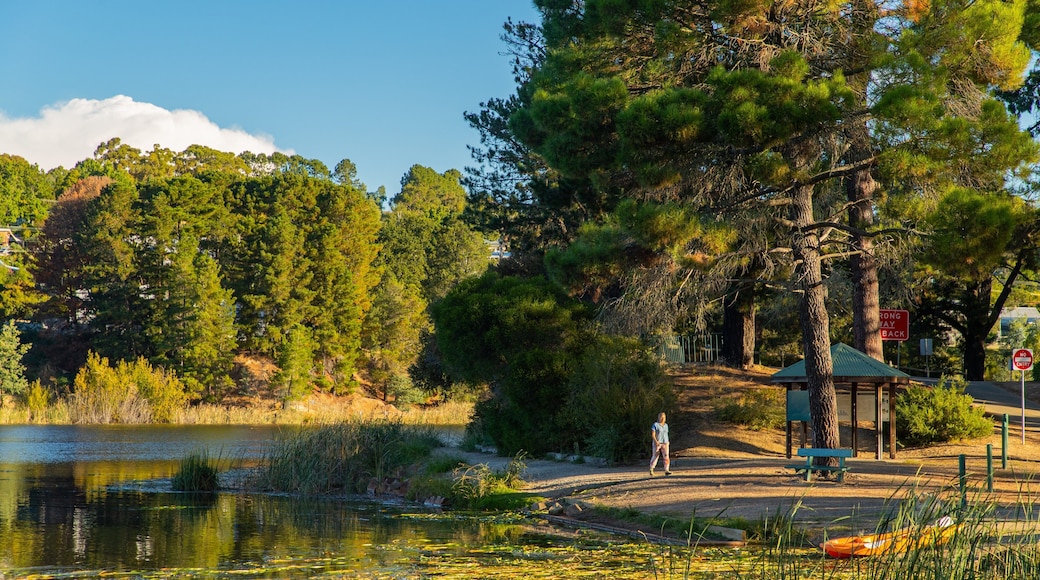 Lake Sambell featuring a lake or waterhole and a park