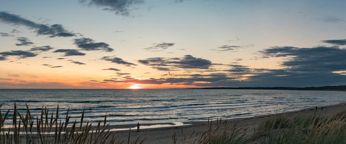 A beach at sunset with waves, grass, and a person walking.