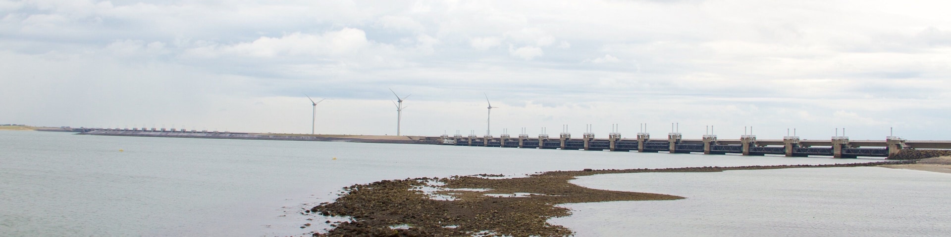 Vrouwenpolder featuring a beach and general coastal views as well as a couple