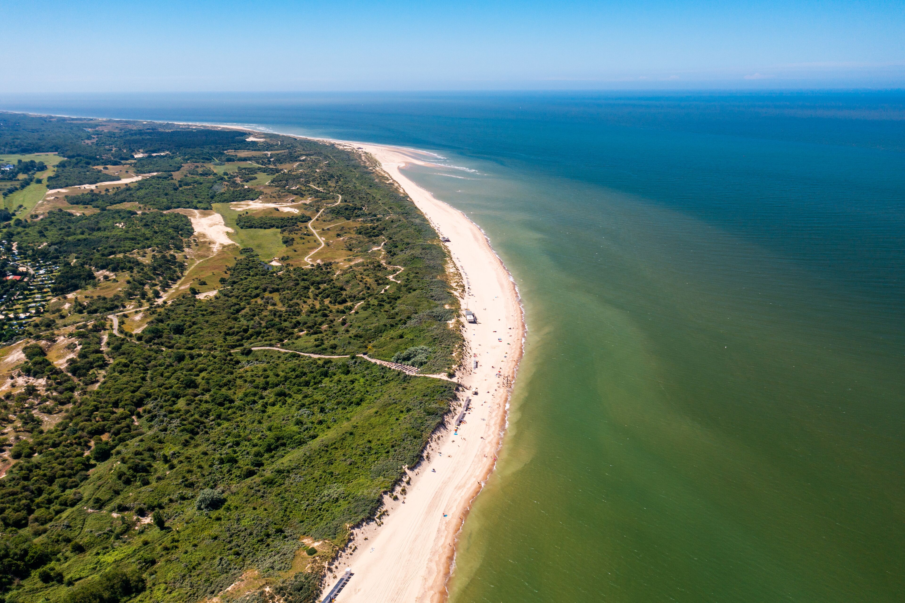 Paisagem costeira com uma praia arenosa, vegetação densa e vista clara do oceano.