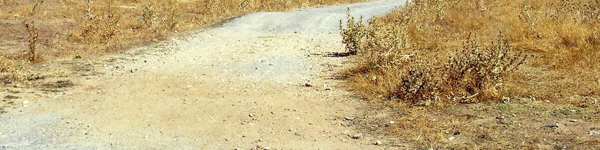 2011-09-24 azul & amarillo