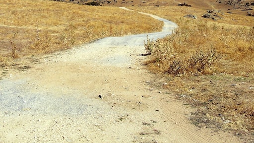 2011-09-24 azul & amarillo