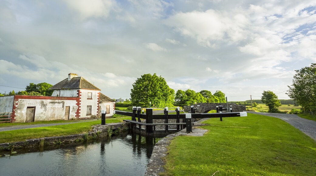 ๋ชจ๋์คํฐ๋ ๋น