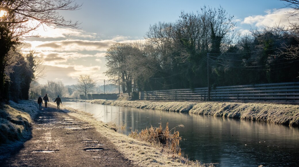 ๋ชจ๋์คํฐ๋ ๋น