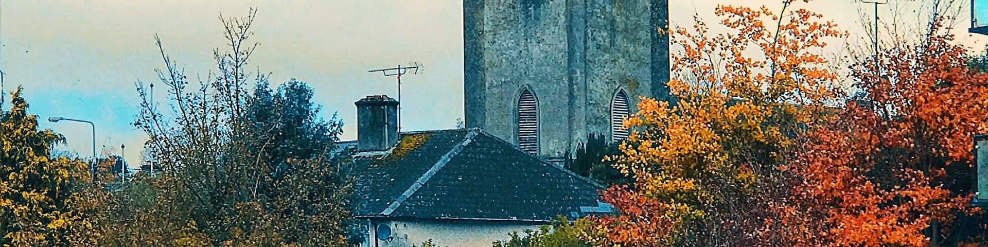 Mainistir Eimhín has a special place in my heart. The first place in Ireland I ever stayed and I go back every chance I get. #trovember