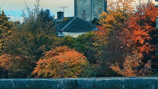 Mainistir Eimhín has a special place in my heart. The first place in Ireland I ever stayed and I go back every chance I get. #trovember