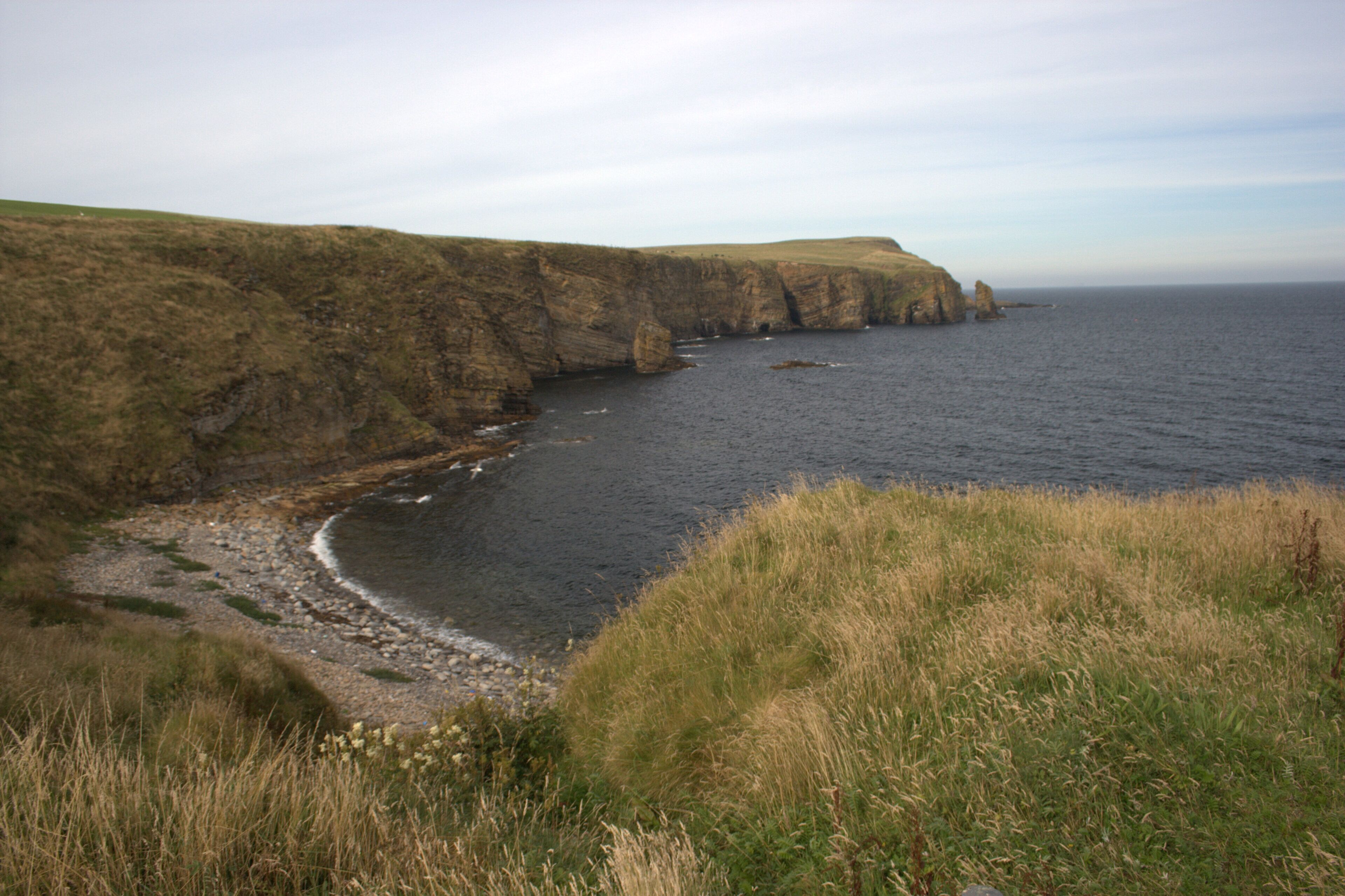 A coastal landscape with cliffs, a rocky shoreline, and a grassy foreground.