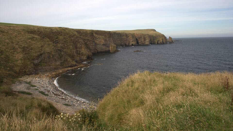A coastal landscape with cliffs, a rocky shoreline, and a grassy foreground.
