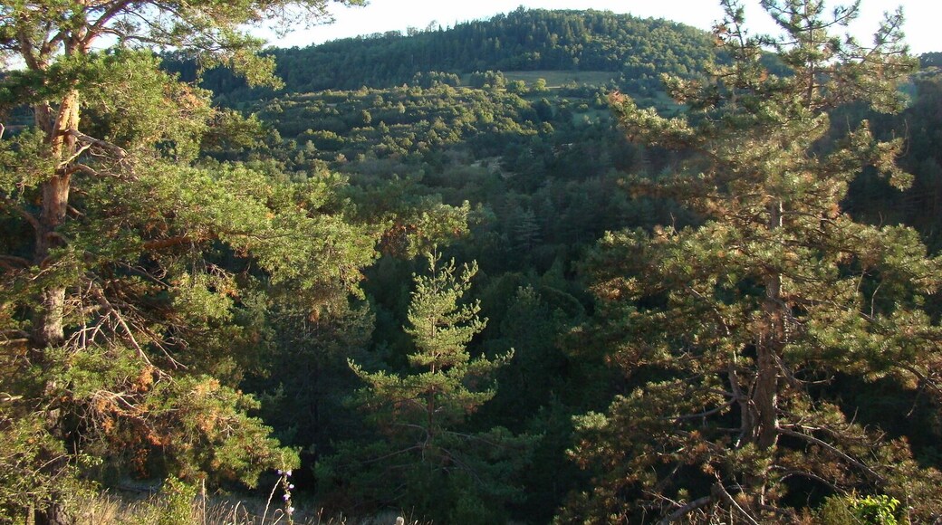 Вид на горной дороге