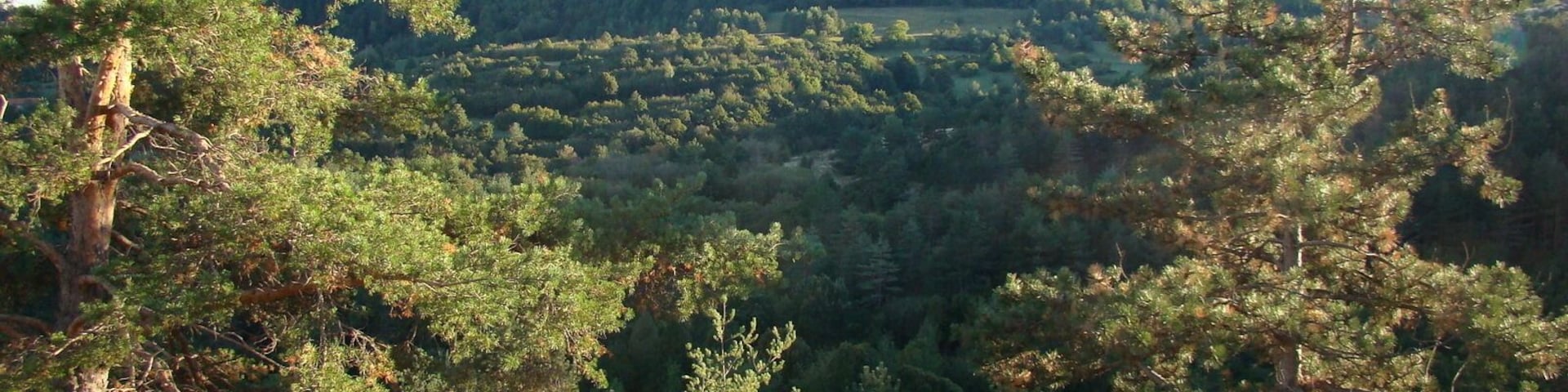 Вид на горной дороге