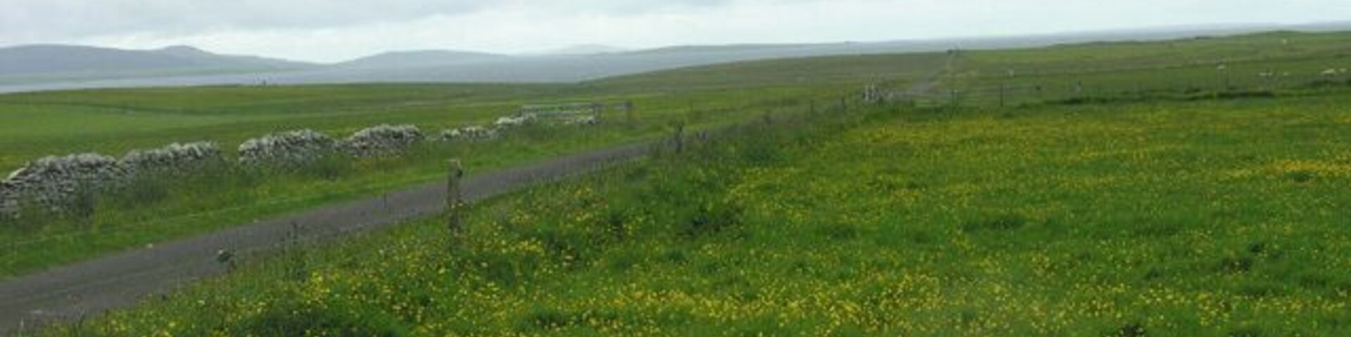 Fields near Gebro, Shapinsay View of fields near Gebro, Shapinsay.