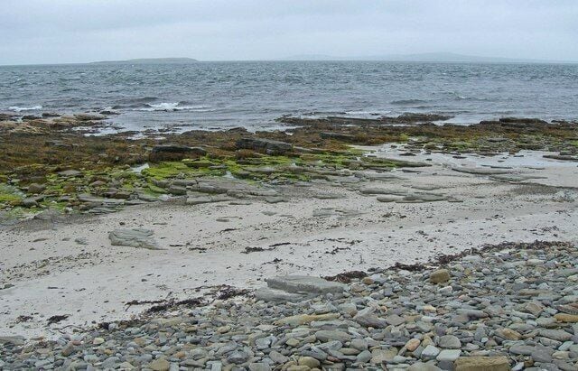 A rocky beach with seaweed and pebbles.