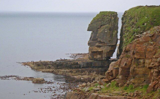 Sea stack at southern edge of Lingavi Geo, Shapinsay east coast. With seabirds on cliffs and shoreline rocks.