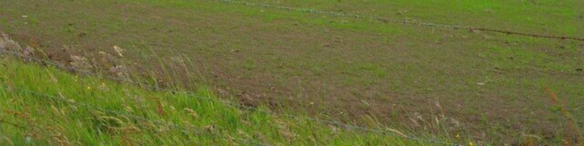 Fields above the east end of Veantro Bay, Shapinsay Photographer is near the northwest edge of the main road.