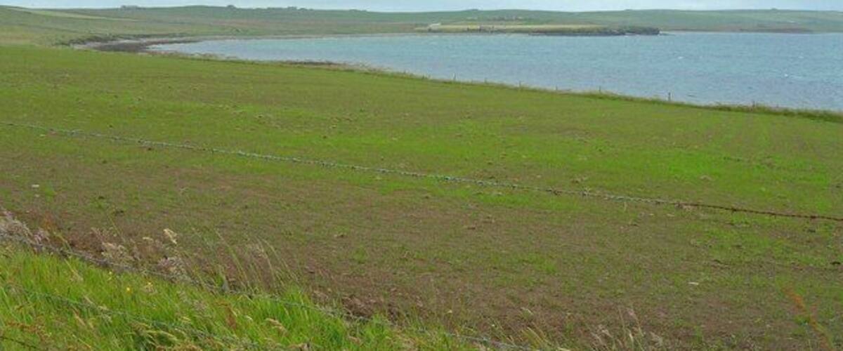 A coastal landscape with a body of water, grassy fields, and a barbed wire fence.
