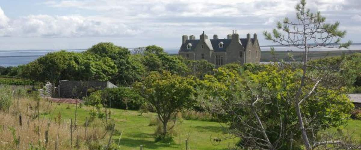 Orchard at Trumland House To the north of the walled garden, Trumland House has a small orchard.