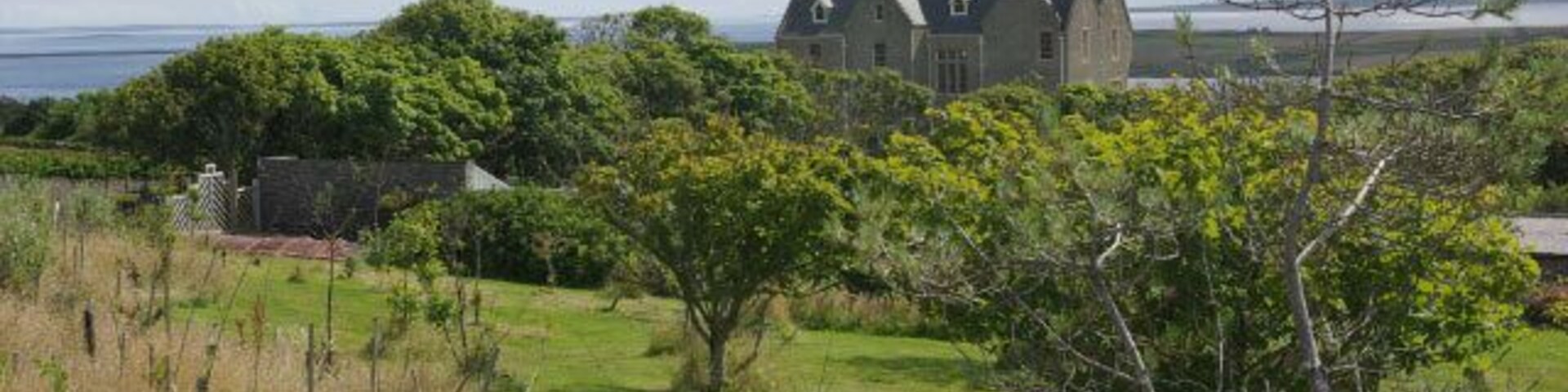Orchard at Trumland House To the north of the walled garden, Trumland House has a small orchard.