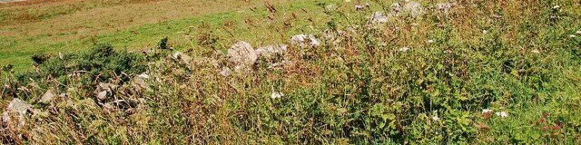 Westness and Eynhallow Sound With the island of Eynhallow to the left, and Costa Hill on Mainland, beyond. This side of Rousay is relatively sheltered, and quite wooded as a consequence.