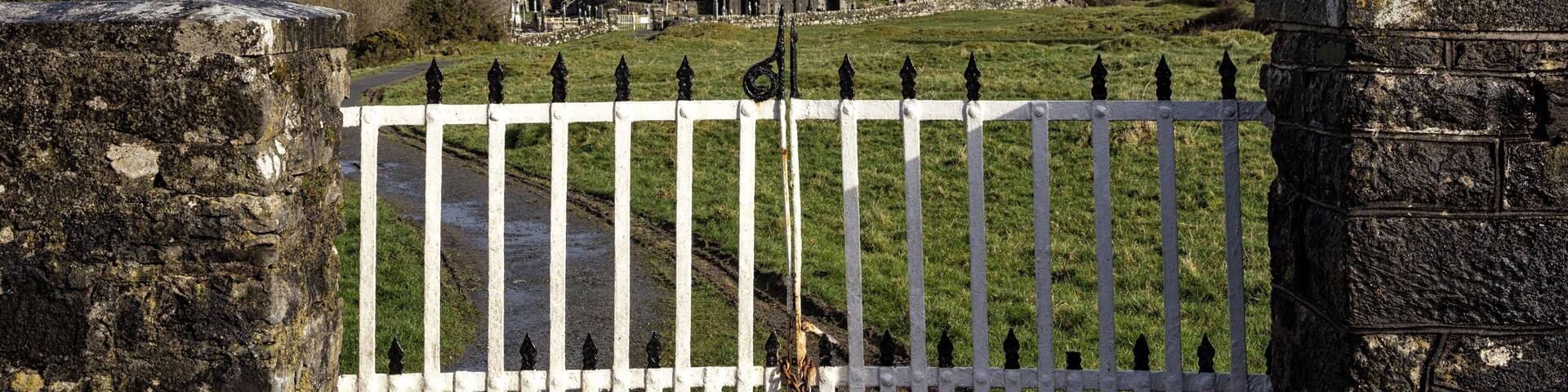 Quin Abbey ruins, County Clare, Ireland
