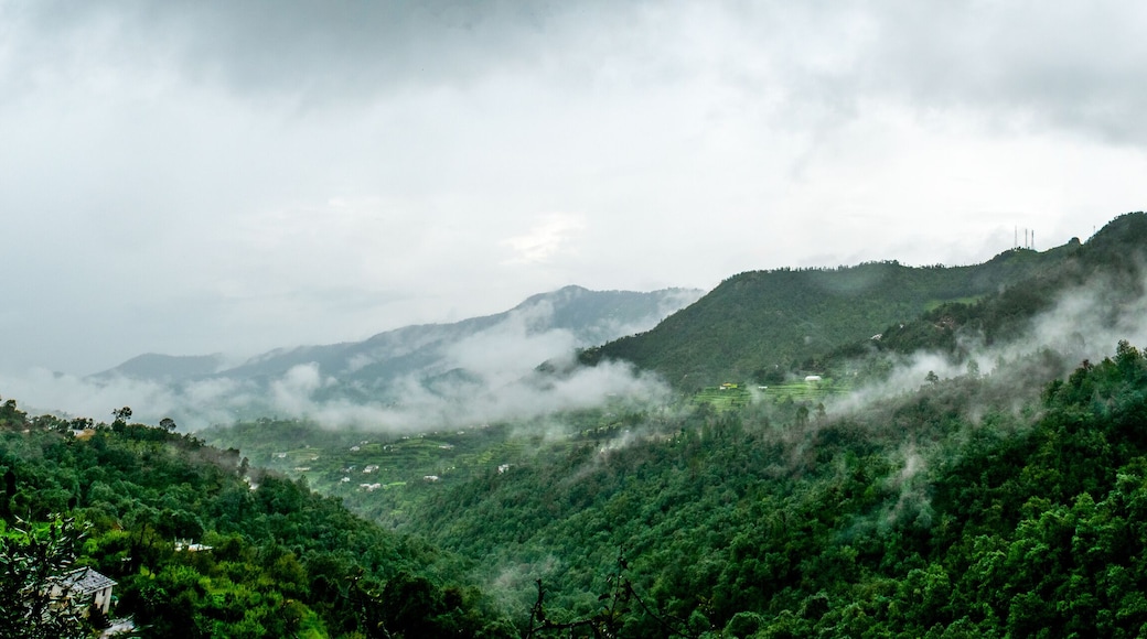 clouds floating over the mountain range as seen while driving to Binsar, near Almora, Uttarakhand,. rainy season, monsoon India