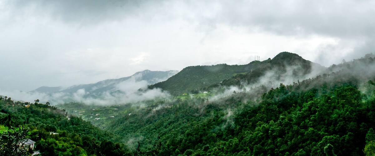 A mountainous landscape with dense green forests and mist-covered peaks.