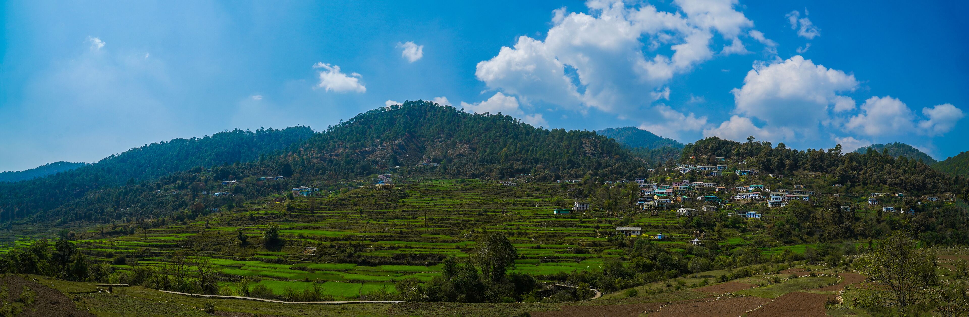 agricultural fields in the countryside of Kausani, Almora, mountain hills valley in Uttarakhand, Ranikhet. Nature Panoroma landscape background.