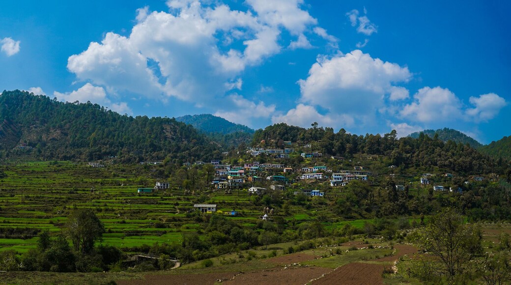 agricultural fields in the countryside of Kausani, Almora, mountain hills valley in Uttarakhand, Ranikhet. Nature Panoroma landscape background.