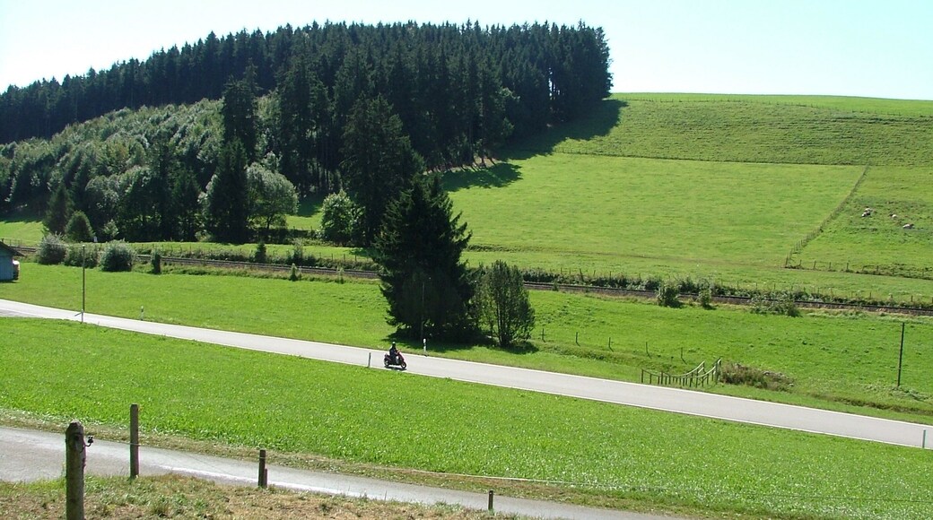 Die Quelle zwischen Bahngleis und StraĂe GĂŒnzach Aitrang