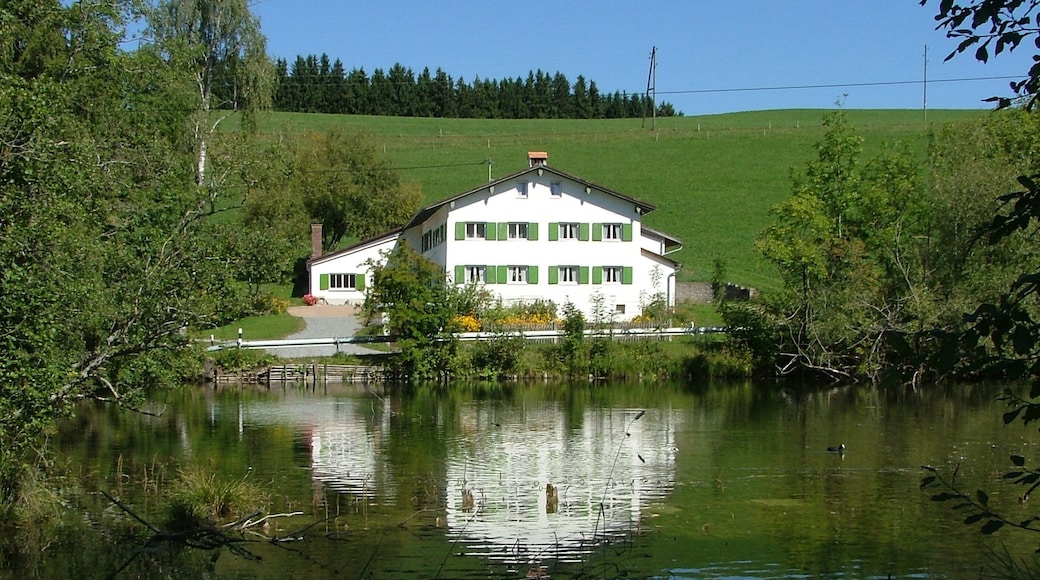 400 m nach der Quelle, an der Aitranger Straße,Finkerweiher,Hausname,beim Fink