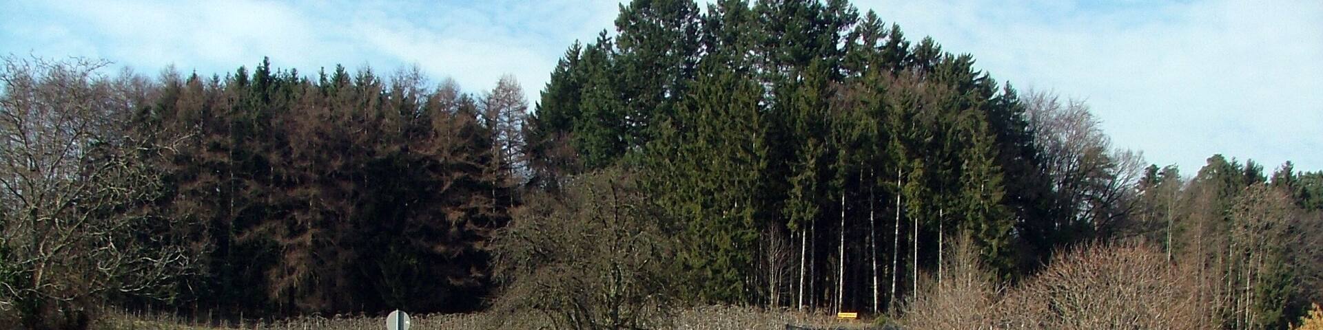 BahnĂŒberfĂŒhrung