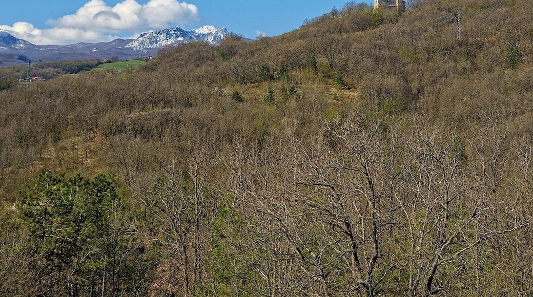 Chiesa di Rabbini e Monte Menegosa