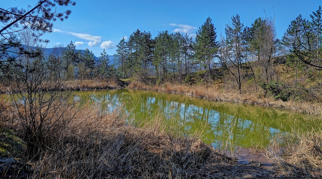 Vista da altra angolazione