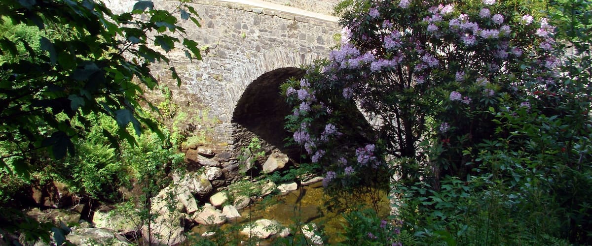 Ardkinglas Gardens, near Cairndow on Loch Fyne, Scotland