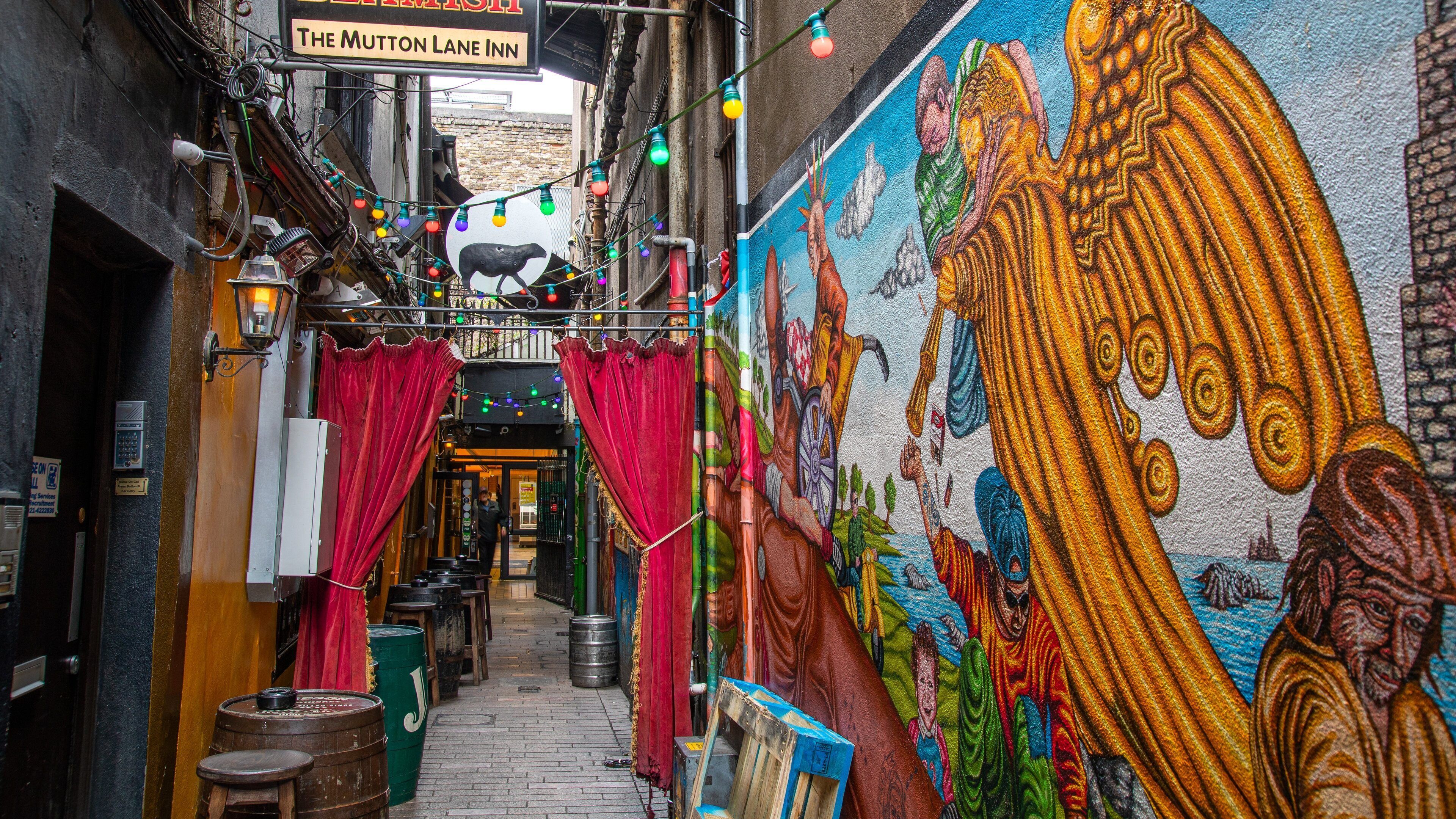 Cork City Centre showing outdoor art