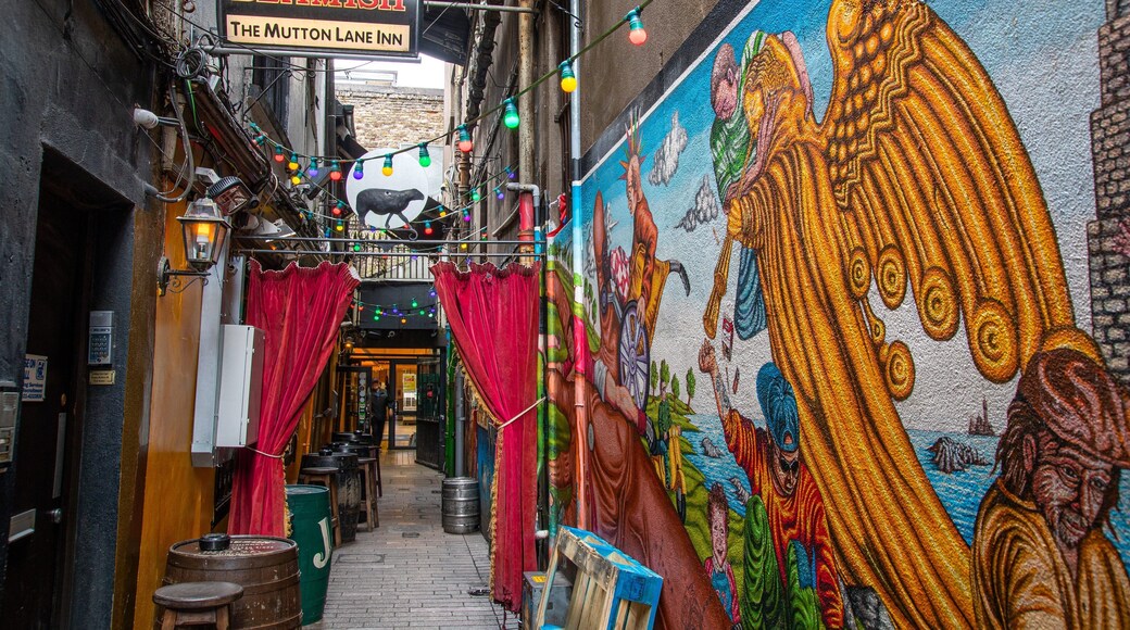 Cork City Centre showing outdoor art