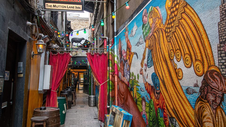 Cork City Centre showing outdoor art