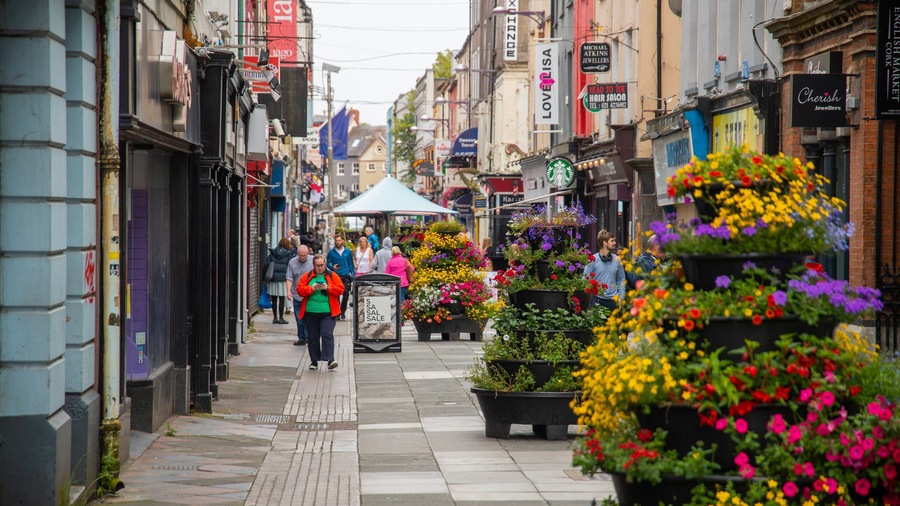 Cork City Centre featuring street scenes, a city and flowers