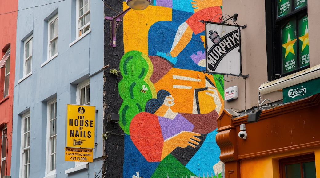 Cork City Centre featuring outdoor art