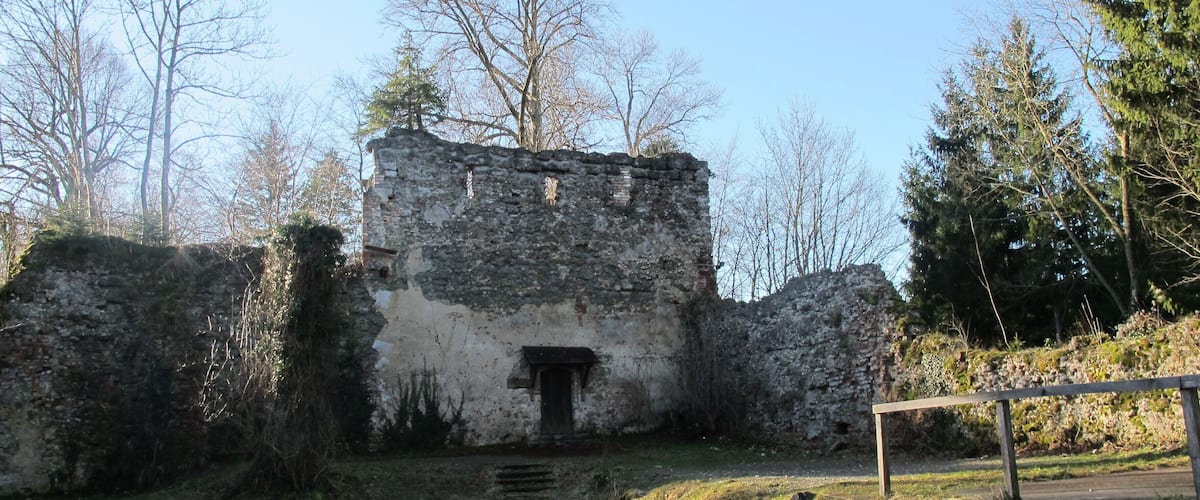 An old stone building with a wooden door, surrounded by trees and a grassy area.