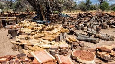 A collection of wooden objects, including logs and wooden planks, arranged outdoors.