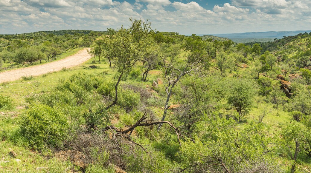 Berge und Busch Landschaft im Osten Namibias auf der Strecke nach Okahandja, Khomas, Namibia