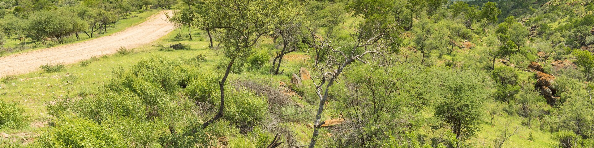 Berge und Busch Landschaft im Osten Namibias auf der Strecke nach Okahandja, Khomas, Namibia