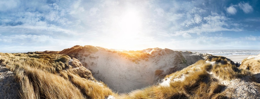 Denmark, Henne Strand, Dune landscape