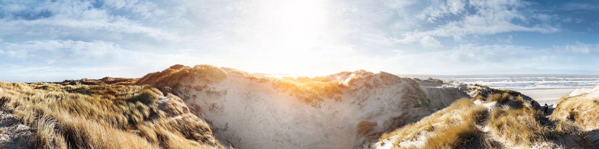 Denmark, Henne Strand, Dune landscape