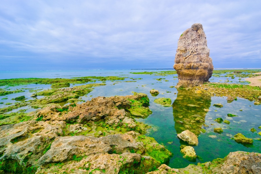 naturally near the tropical coast on Senaga Island (Senagajima) in Okinawa Prefecture, Japan, Shutterstock ID 1102298972, SF SSA Case with Manager Approval: Case 07151371, Job: Prepay credit, Client/L