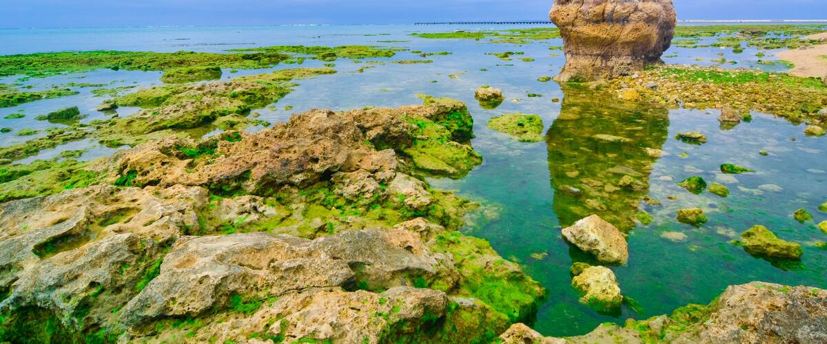 naturally near the tropical coast on Senaga Island (Senagajima) in Okinawa Prefecture, Japan, Shutterstock ID 1102298972, SF SSA Case with Manager Approval: Case 07151371, Job: Prepay credit, Client/L