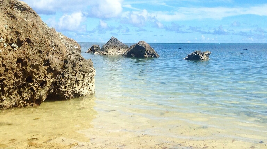 I never know the names of all the beaches I end up at. Maybe they don't even have names, but this is just a small beach down a very narrow, winding road. It's private but not always the cleanest in terms of seaweed. The road to get here isn't the best so just drive carefully.