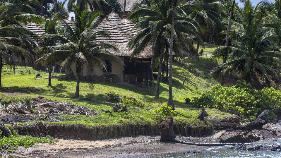 A tropical beach with palm trees, a thatched-roof house, and a rocky shoreline.