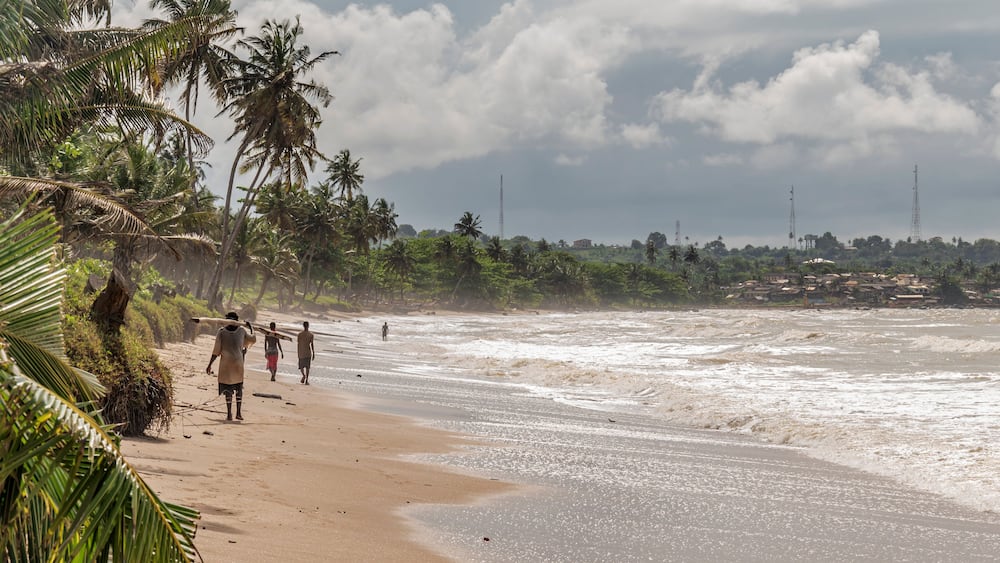 Une plage bordée de palmiers, sous un ciel nuageux.