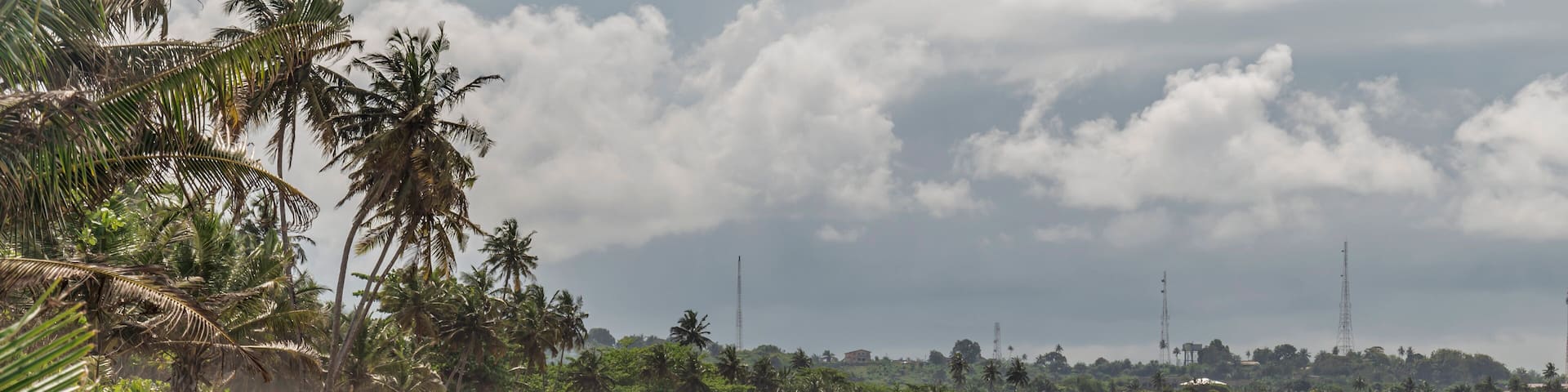 A beach with palm trees and a cloudy sky.